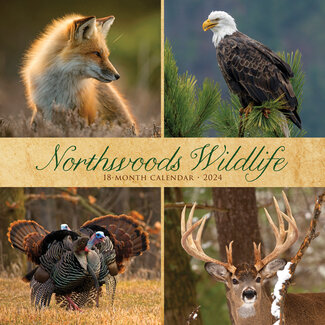 Willow Creek Northwoods Wildlife Calendar 2024