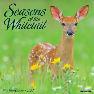 Willow Creek Seasons of the Whitetail Kalender 2024