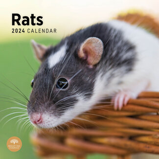 Rat Calendar 2024
