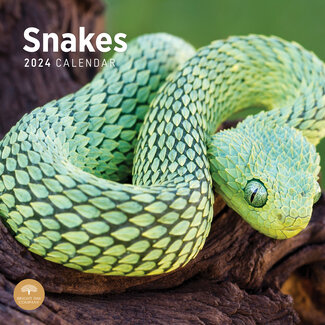 Schlangenkalender 2025