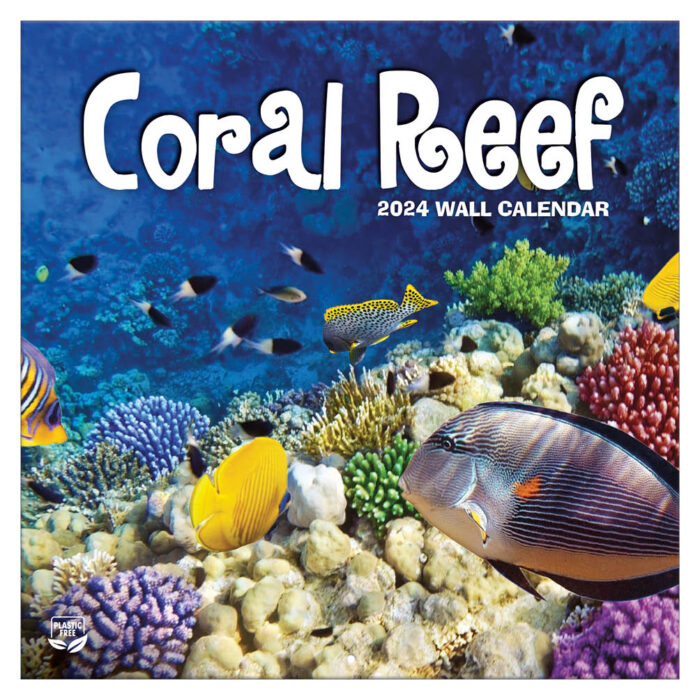 Buy Coral Reef Calendar 2024? Order easily and quickly online