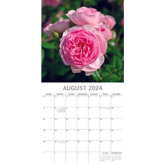 Buy Roses Calendar 2024? Order online quickly and easily