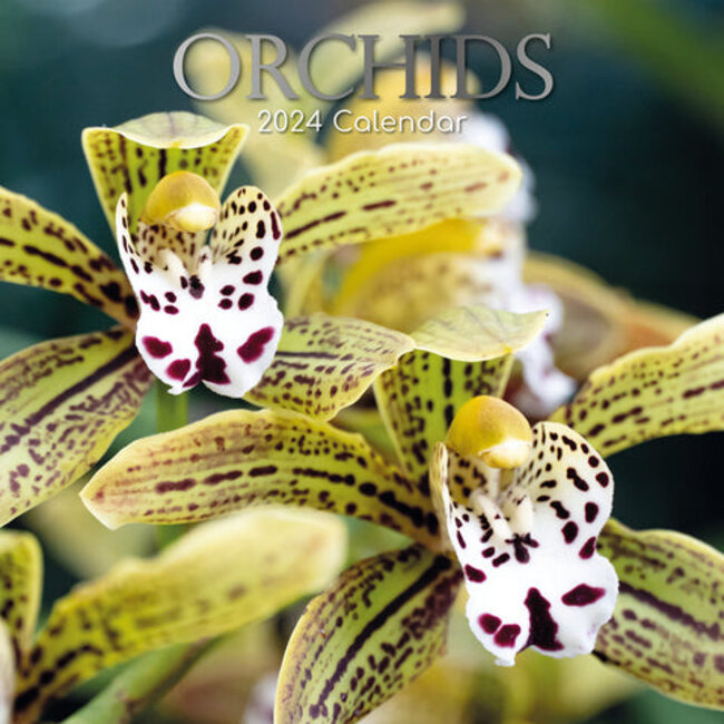 Buy Orchid Calendar 2024 simply order online Kalenderwinkel.nl