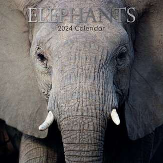 The Gifted Stationary Elefantenkalender 2025