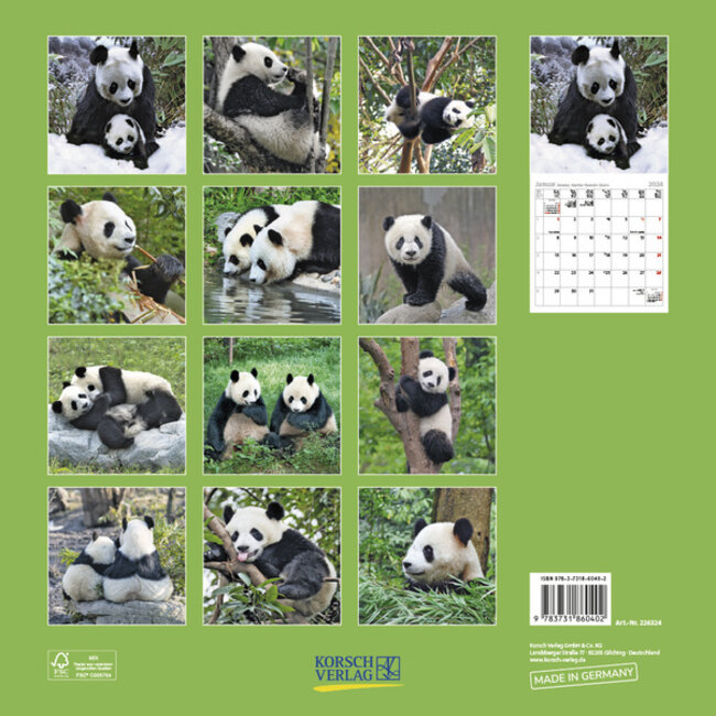 Panda Kalender 2024 Kopen? Bestel eenvoudig Online Kalenderwinkel.nl