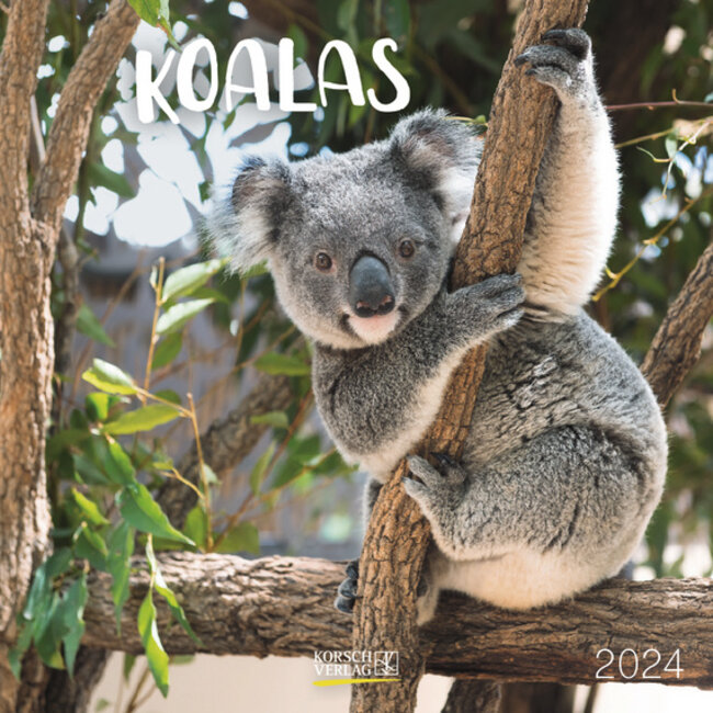 Buying Koala Calendar 2024 simply order online Kalenderwinkel.nl