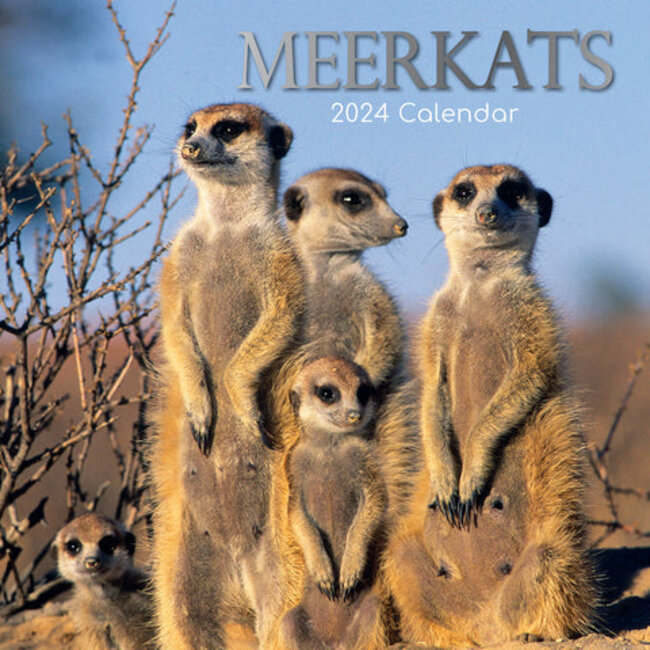 The Gifted Stationary Meerkats Calendar 2025