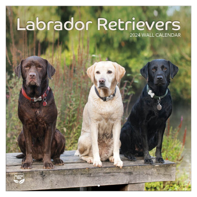 TL Turner Labrador Retriever Calendar 2024