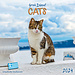 Tushita Greek Island Cats Calendar 2024