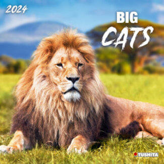 Tushita Big Cats Kalender 2024