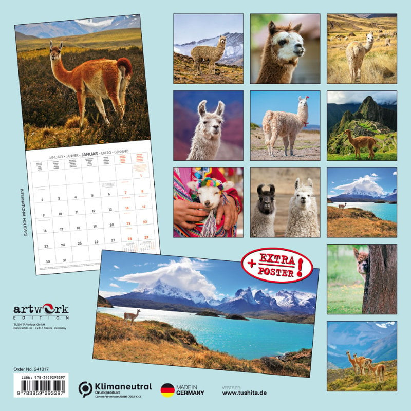 No Drama Llama and Alpacas Calendar 2024 Buy? Order easily