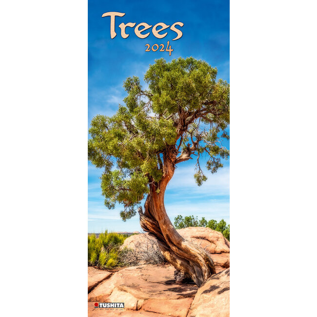 Trees Calendar 2024 Slimline