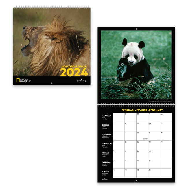 Buying National Geographic Animals Calendar 2024? Order easily online