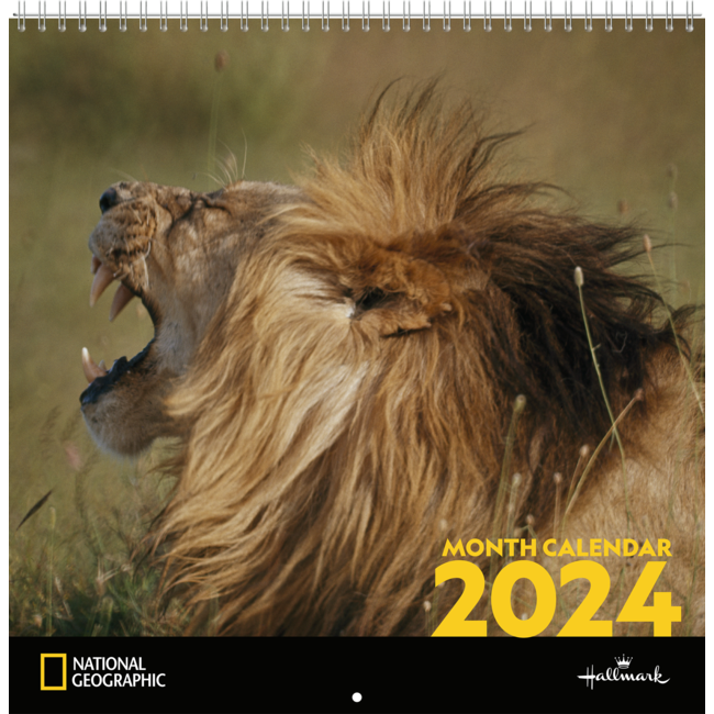 Buying National Geographic Animals Calendar 2024? Order easily online