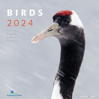 Bekking & Blitz Birds  Kalender 2024