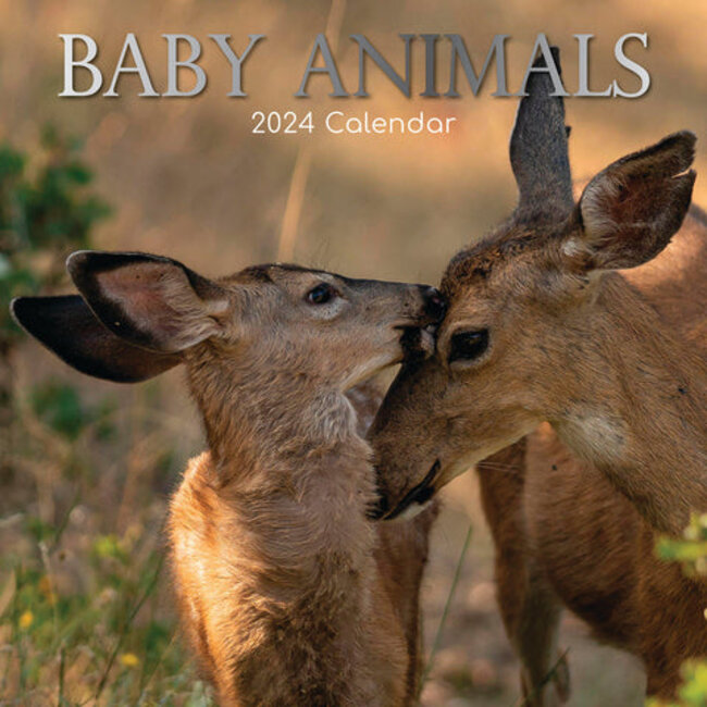 The Gifted Stationary Calendario degli animali da compagnia 2025