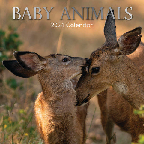 Calendrier des animaux de bébé 2024 