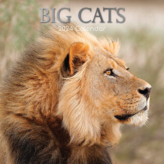 The Gifted Stationary Big Cats Calendar 2024