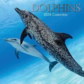 The Gifted Stationary Dolphins Calendar 2025