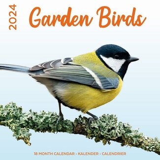 Plenty Gifts Garden Birds Kalender 2024