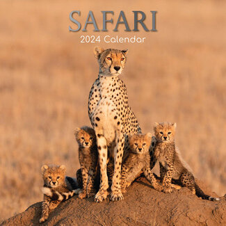 The Gifted Stationary Safari Kalender 2024