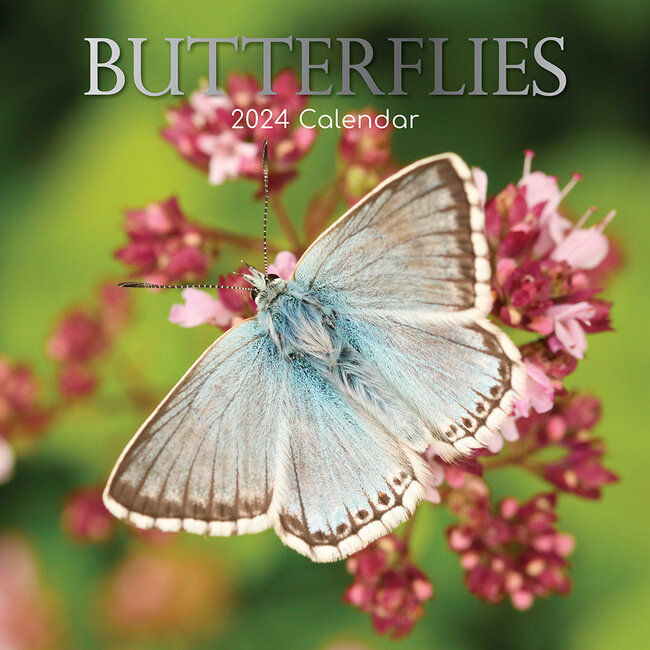 Butterfly Calendar 2025