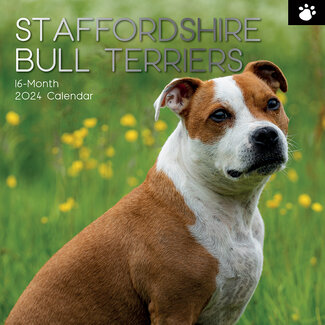 The Gifted Stationary Staffordshire Bull Terrier Kalender 2025