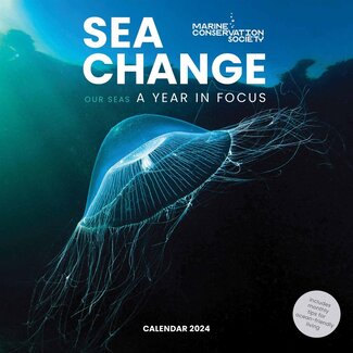 CarouselCalendars Meereswechsel-Kalender 2025