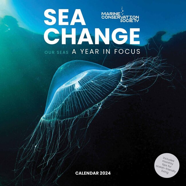 Sea Change Calendar 2025