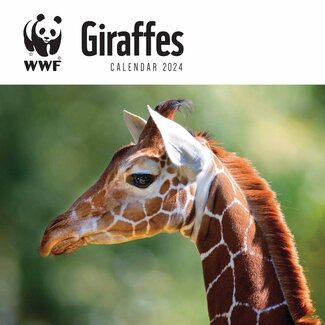 CarouselCalendars Giraffe Kalender 2024
