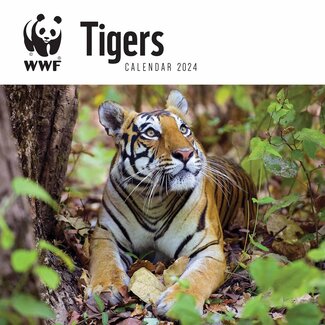 CarouselCalendars Tiger-Kalender 2025