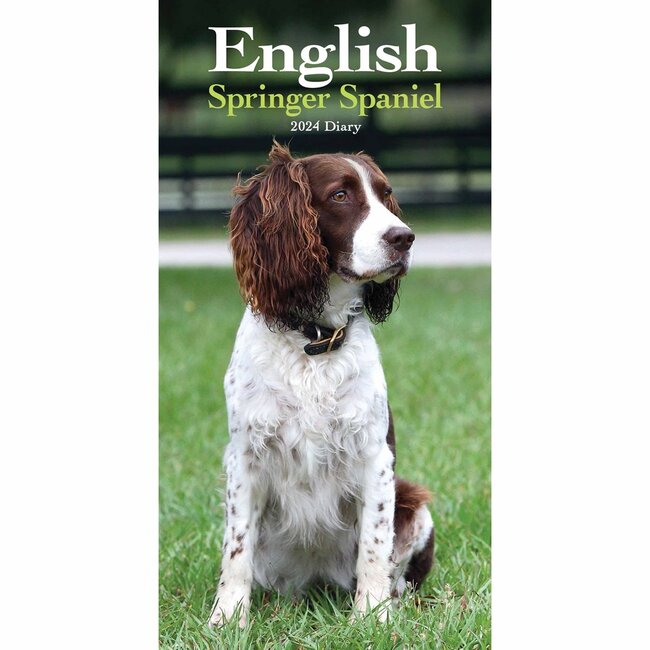 English Springer Spaniel Pocket Diary 2025