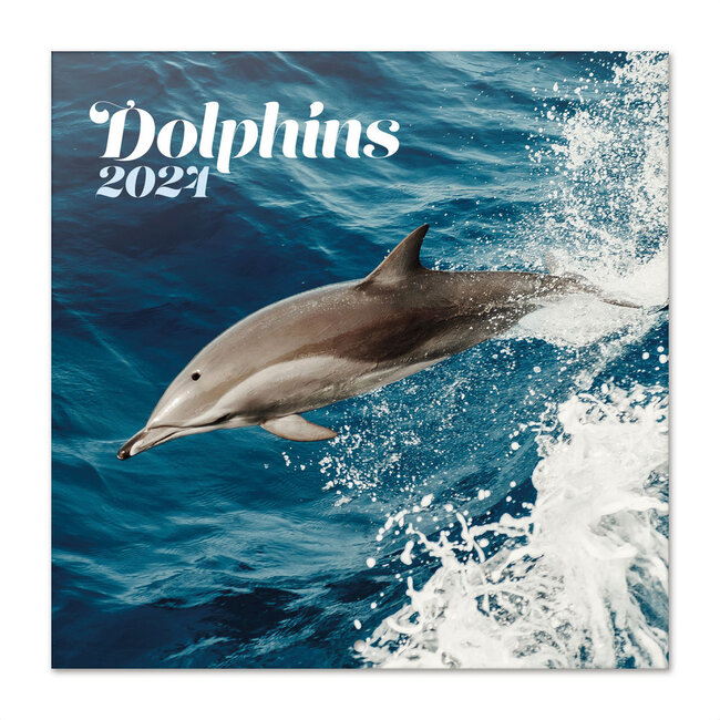 Grupo Calendario dei Delfini 2025