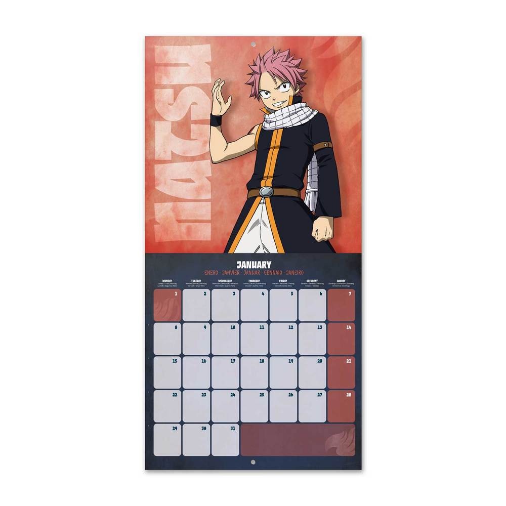 Buy Fairy Tail Calendar 2024? Order online quickly and easily