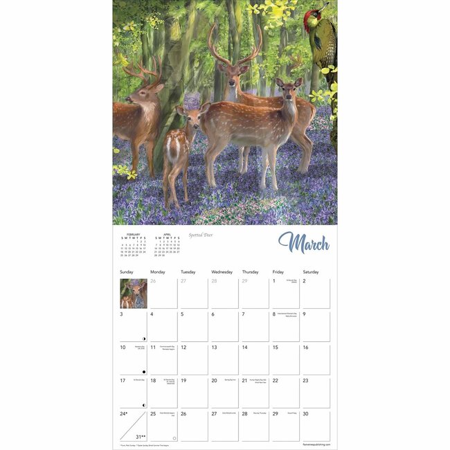 Buying British Wildlife Calendar 2024? Quick and easy online