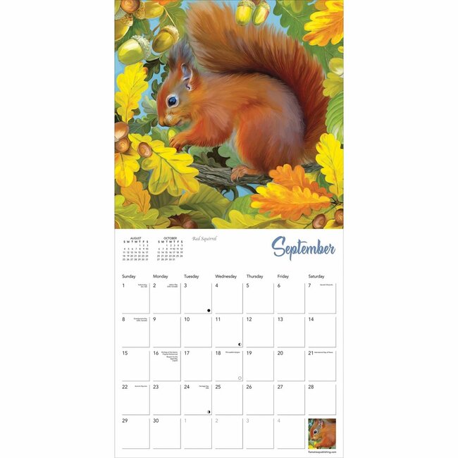 Buying British Wildlife Calendar 2024? Quick and easy online