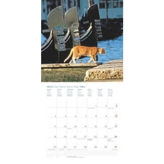 Buying Cats Around the World Calendar 2024? Quick and easy online