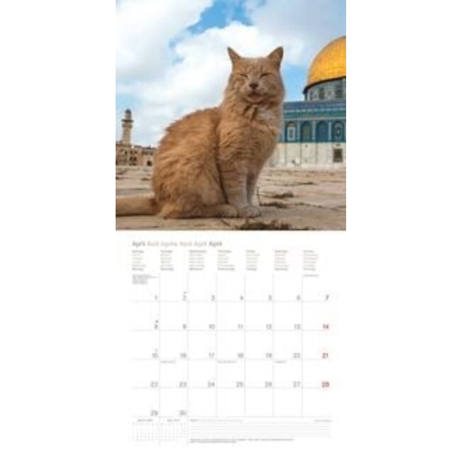 Cats Around The World Calendar 2024 