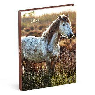 Lannoo Horses Desk Agenda 2025