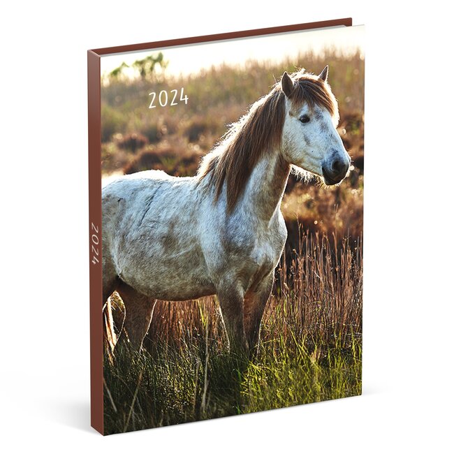 Horses Desk Agenda 2025