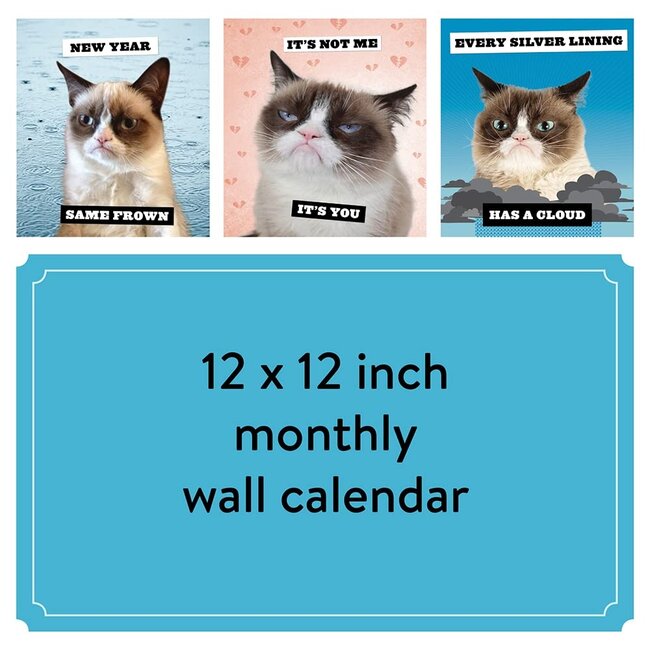 Calendario Grumpy Cat 2024 Kalenderwinkel.nl