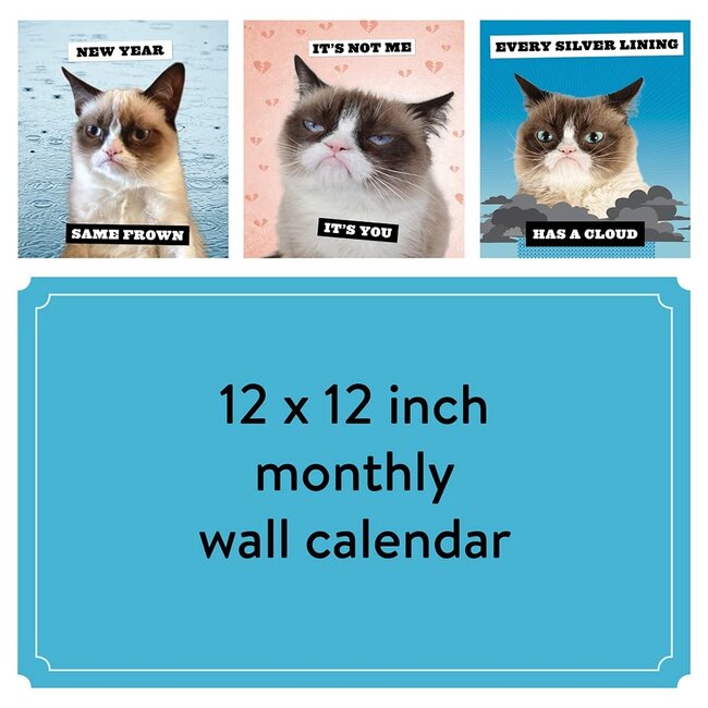 Buy Grumpy Cat Calendar 2024? Easily and quickly ordered online