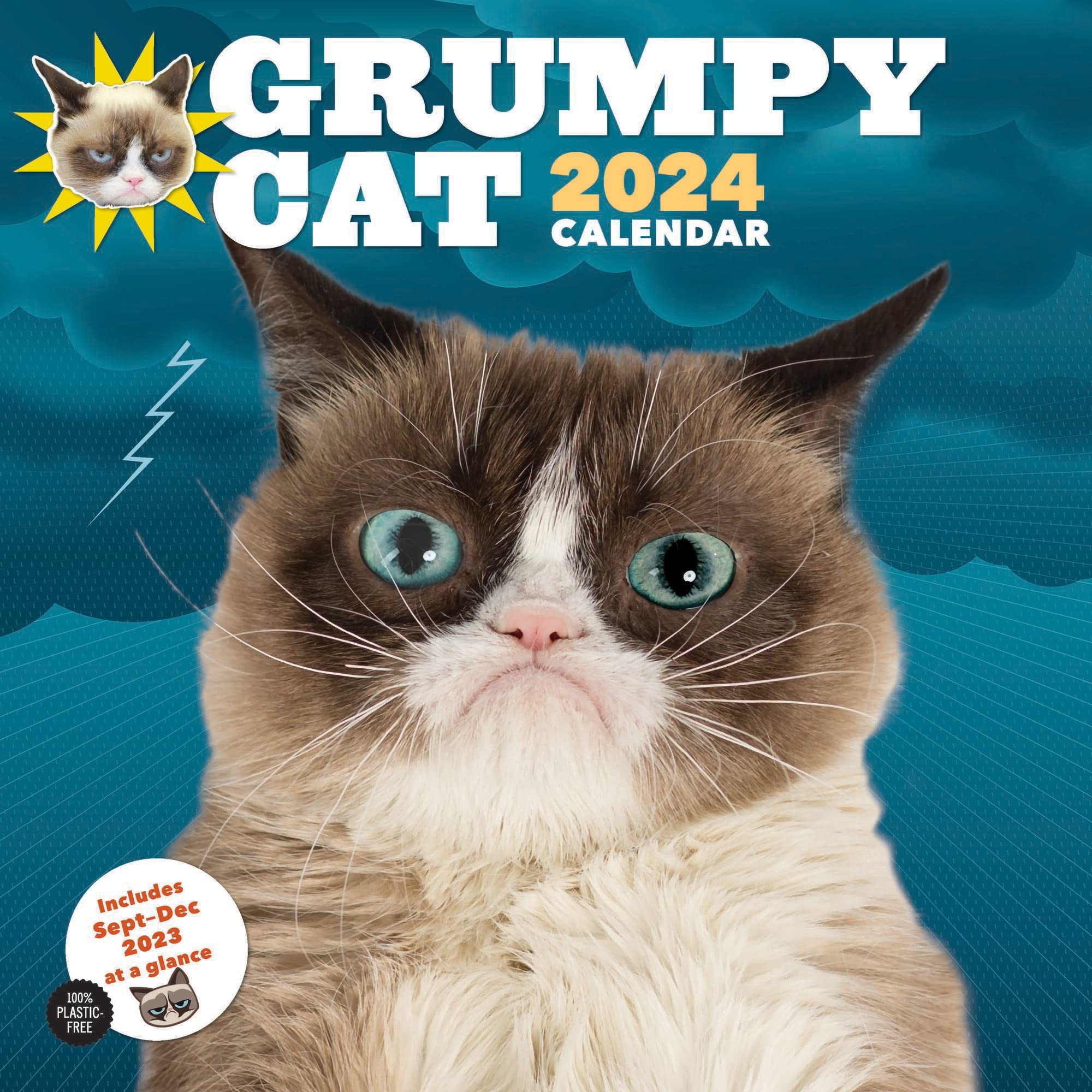 Calendario Grumpy Cat 2024 Kalenderwinkel.nl