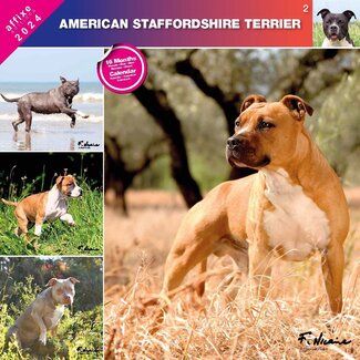 Affixe Editions American Staffordshire Terrier Kalender 2024