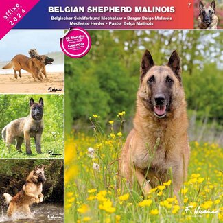 Affixe Editions Calendario Malinois 2025