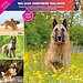 Affixe Editions Calendrier malinois 2025