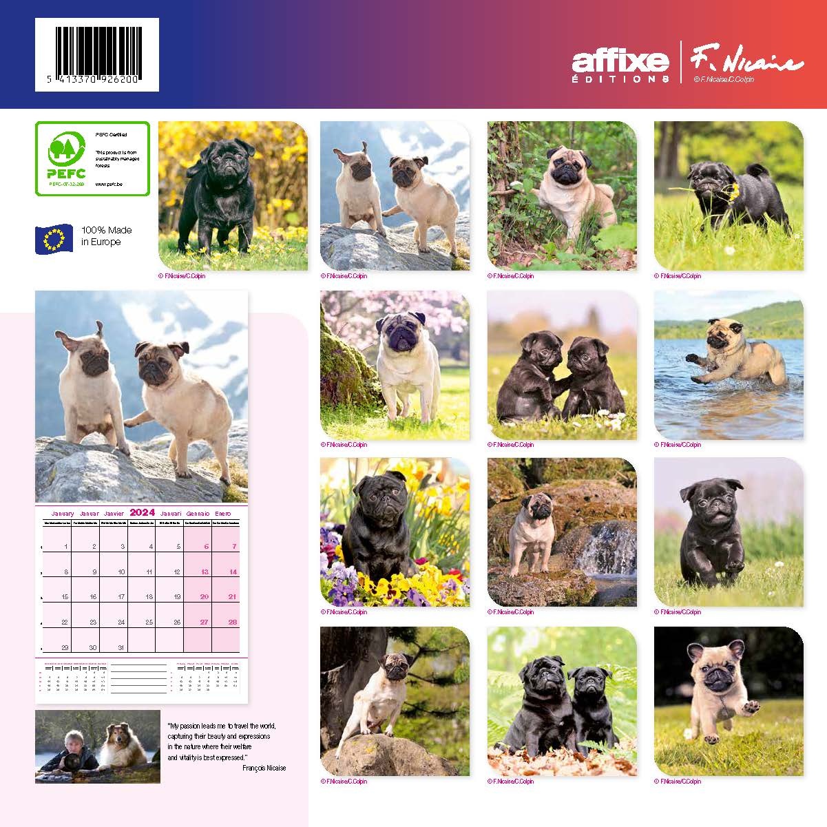 Pug Calendar 2024 Buy Order Easily Online Kalenderwinkel nl