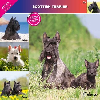 Affixe Editions Schotse Terrier Kalender 2024