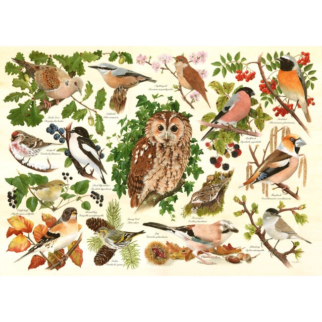 Puzzle degli uccelli del bosco 500 pezzi XL