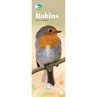 CarouselCalendars Red Robins Calendario Slimline 2025